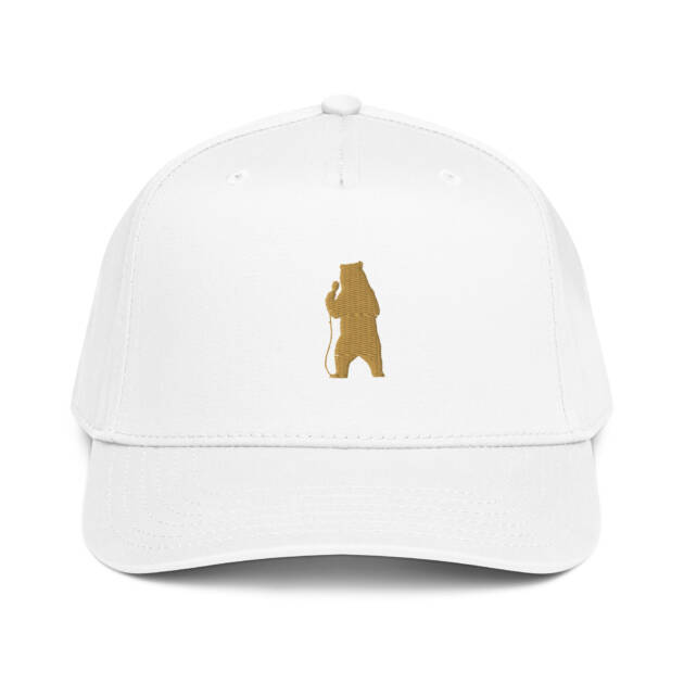 5 panel cap